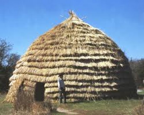Hause lumberjack African ancestor