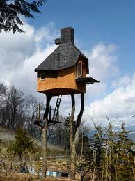 Hause lumberjack condor